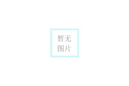 博诺安壁挂炉全预混冷凝GS系列